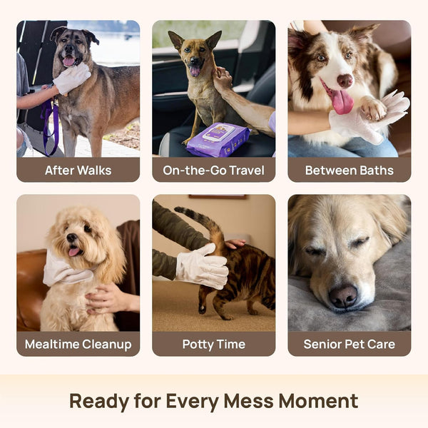 Easy Pet Clean Glove Wipes