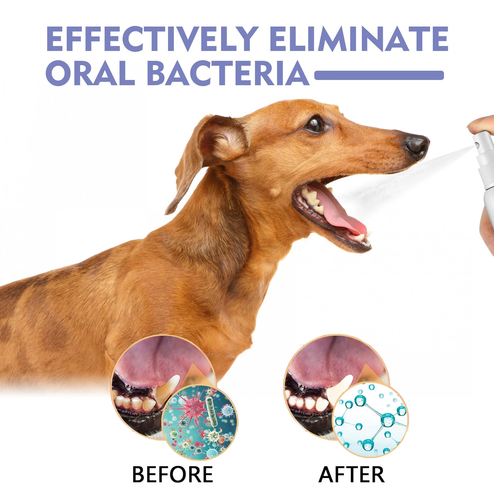 Freshens Teeth Oral Care Spray for Dogs and Cats Pet Tooth Cleaning