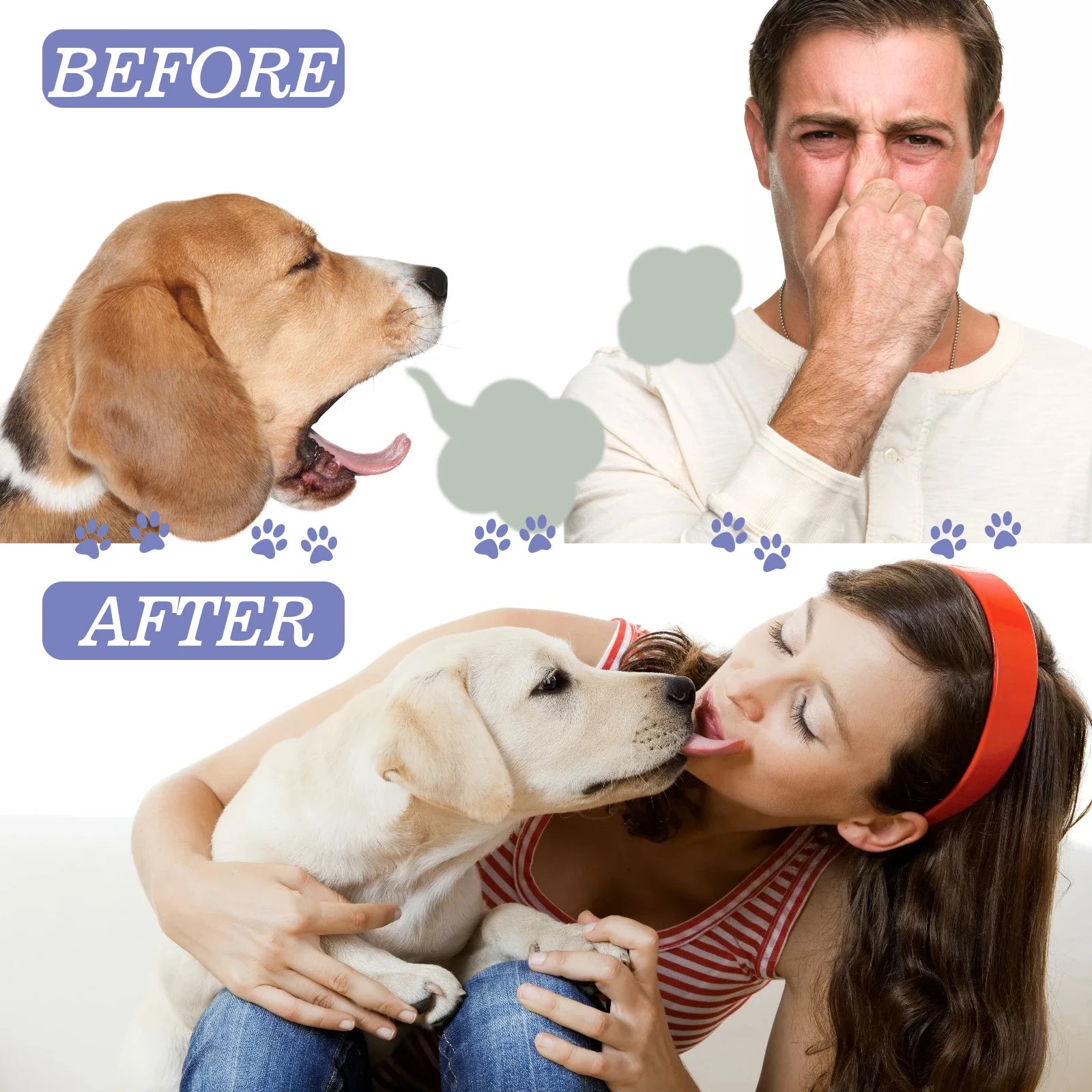 Freshens Teeth Oral Care Spray for Dogs and Cats Pet Tooth Cleaning