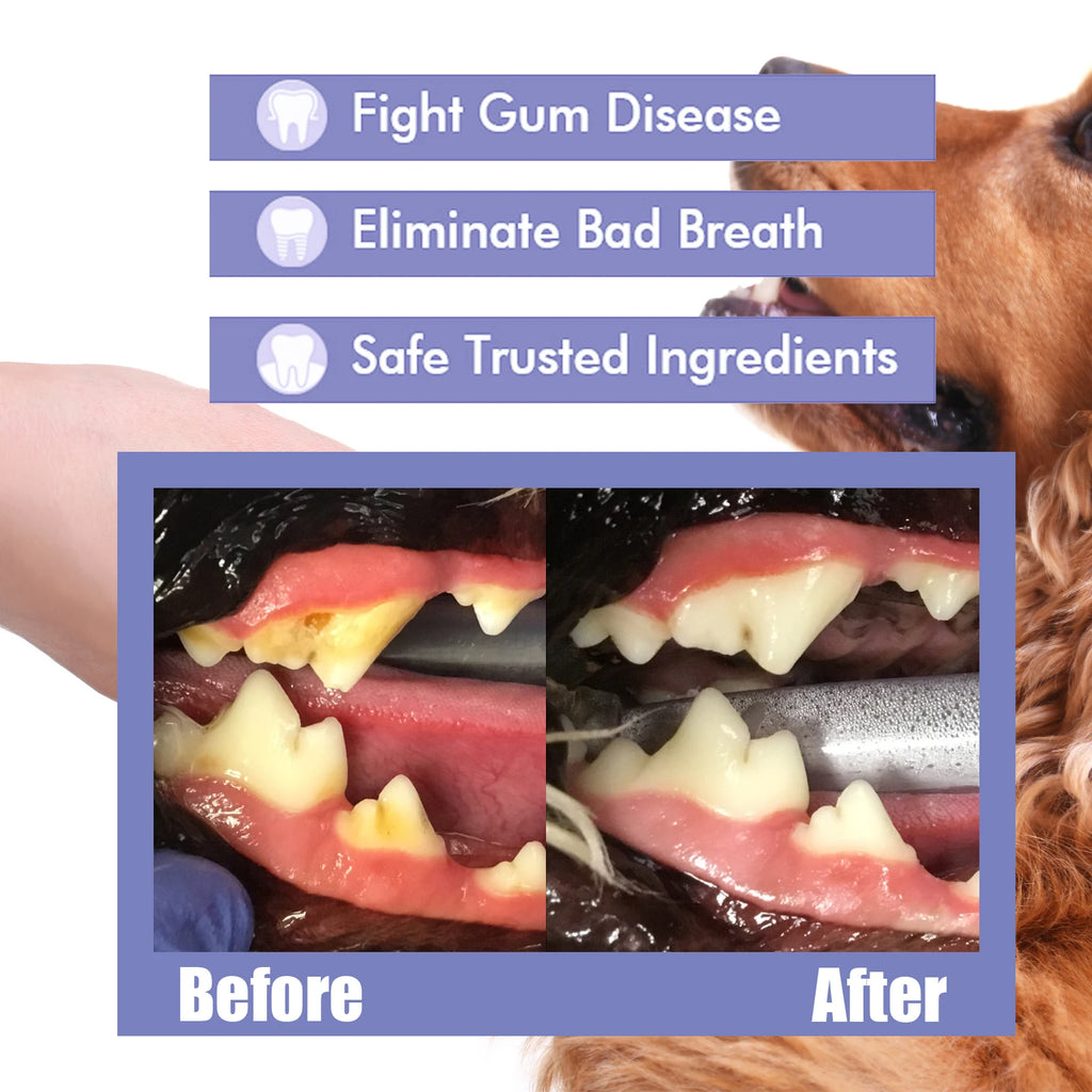Freshens Teeth Oral Care Spray for Dogs and Cats Pet Tooth Cleaning