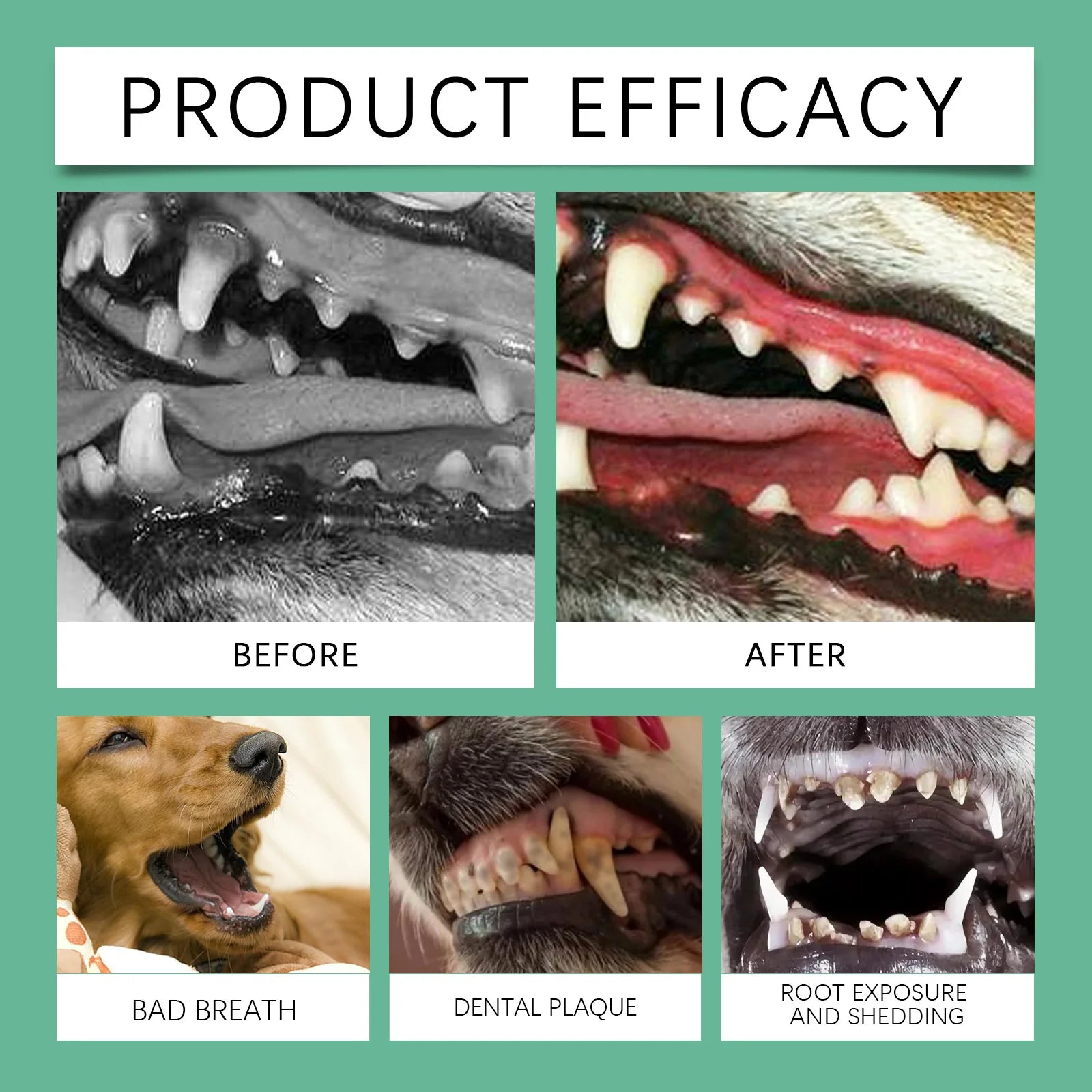 Pet Dental Powder Oral Care Supplement Fresh Breath and Teeth Cleaning Support