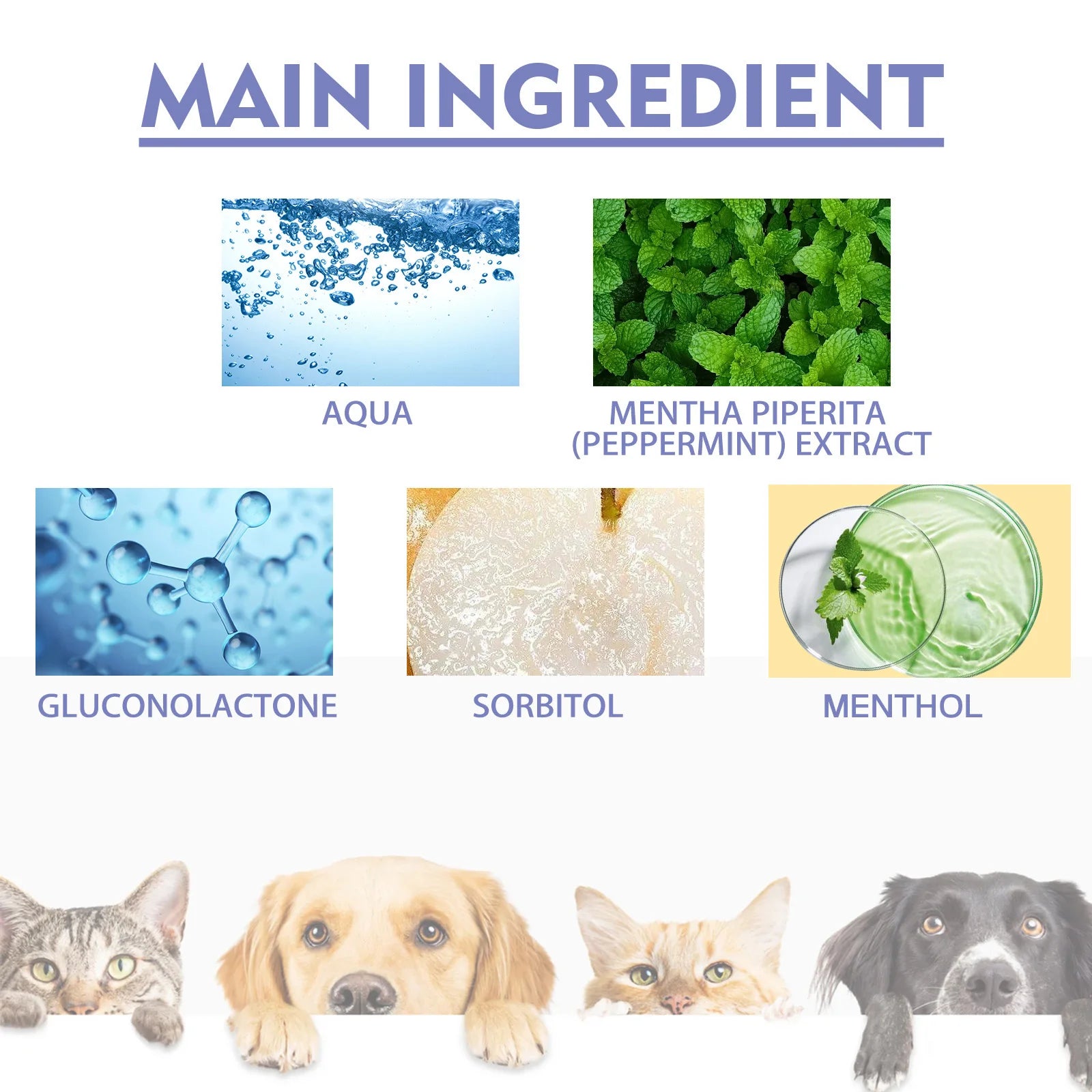 Freshens Teeth Oral Care Spray for Dogs and Cats Pet Tooth Cleaning
