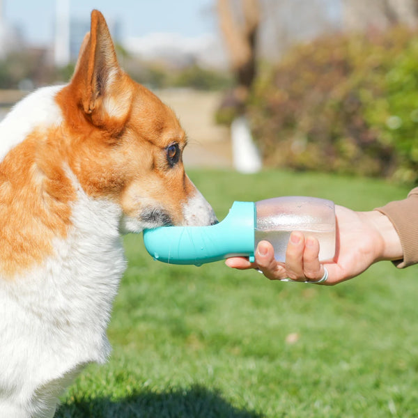 Portable Puppy Hydration Bottle