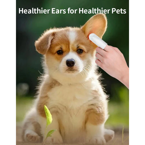 Pet Cleaning Products  Ear Cleaning Wipes  Ear Care