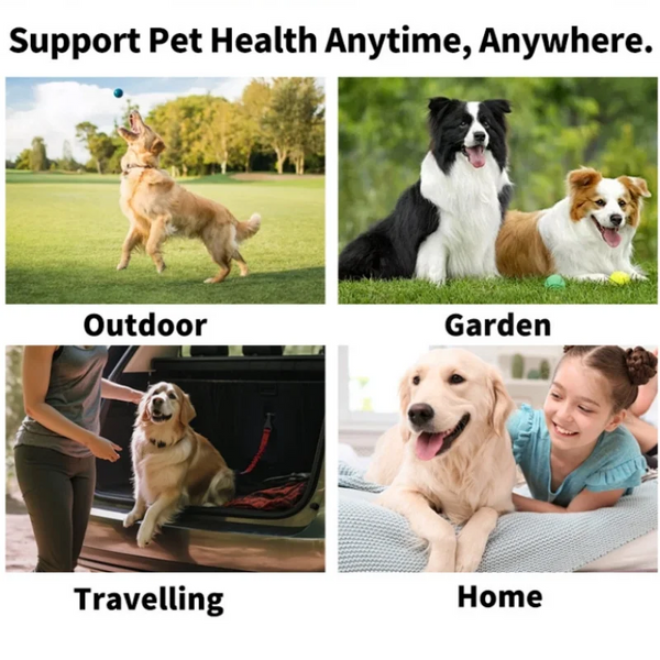 Gentle Pet Eye Wipes